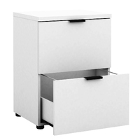 Rico 2 Drawer Filing Cabinet - White